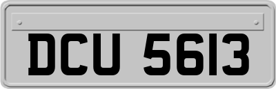 DCU5613