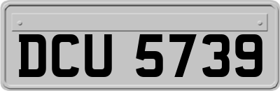DCU5739