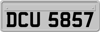DCU5857