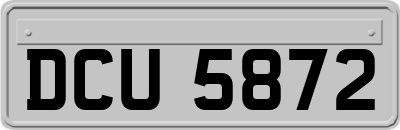 DCU5872