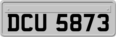 DCU5873