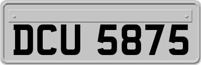 DCU5875
