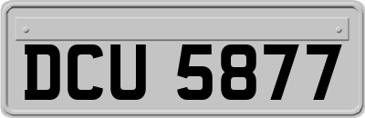 DCU5877