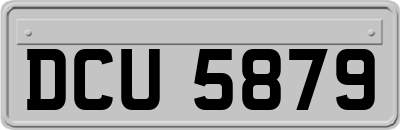 DCU5879