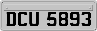 DCU5893