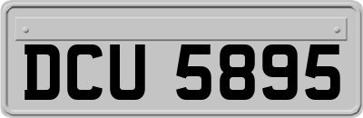 DCU5895