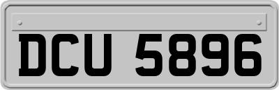 DCU5896