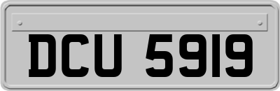 DCU5919