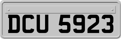 DCU5923