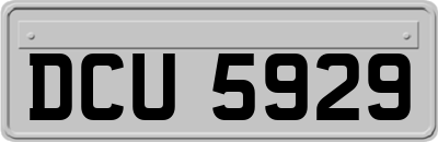 DCU5929