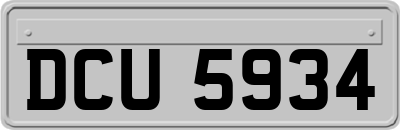 DCU5934
