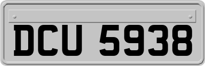 DCU5938