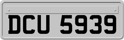 DCU5939