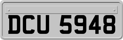 DCU5948