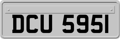 DCU5951