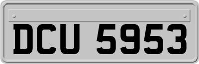 DCU5953