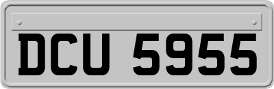 DCU5955
