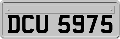 DCU5975