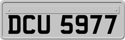 DCU5977