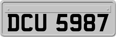 DCU5987