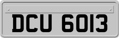DCU6013