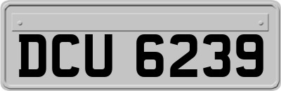 DCU6239