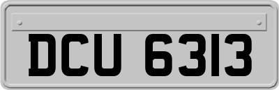 DCU6313