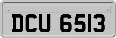 DCU6513