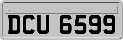 DCU6599