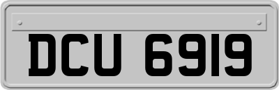 DCU6919