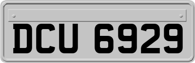 DCU6929