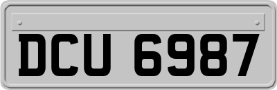 DCU6987