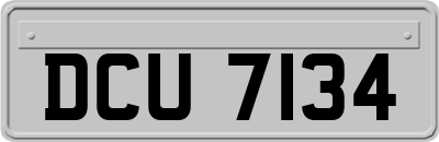 DCU7134
