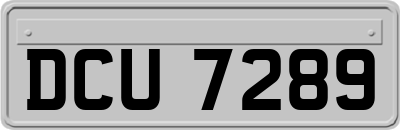 DCU7289