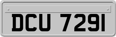 DCU7291