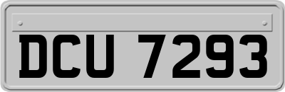 DCU7293