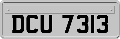 DCU7313