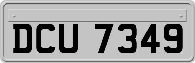 DCU7349