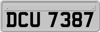 DCU7387
