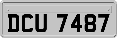 DCU7487
