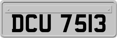 DCU7513