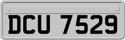 DCU7529