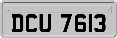 DCU7613