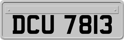 DCU7813