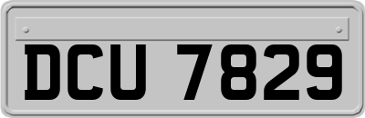 DCU7829