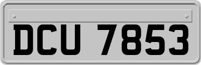 DCU7853