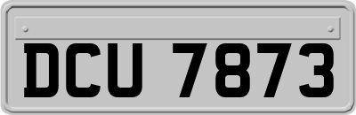 DCU7873