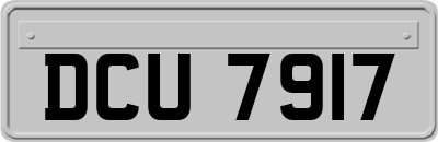 DCU7917