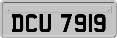 DCU7919