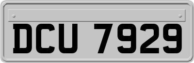 DCU7929